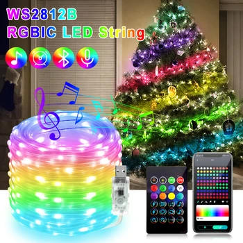 10M 5M Smart Bluetooth Dreamcolor Víla Svetlo Led Pásy String 5V USB RGBIC Ws2812b Sviatok Vianočný Večierok, Osvetlenie, Hudba Sync