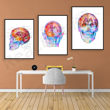 Mozog Topografických Máp Plagát Mozgu Anatómie Umenie Anatómie Mozgu Medicíny, Klinickej Dekorácie Neurologue Darček